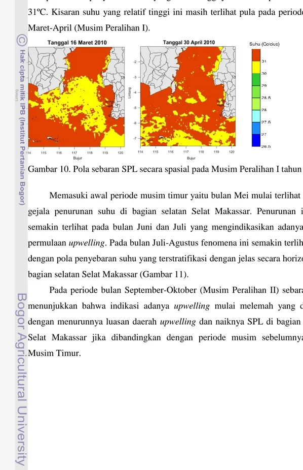 Gambar 10. Pola sebaran SPL secara spasial pada Musim Peralihan I tahun 2010  Memasuki awal periode musim timur yaitu bulan Mei mulai terlihat adanya  gejala  penurunan  suhu  di  bagian  selatan  Selat  Makassar