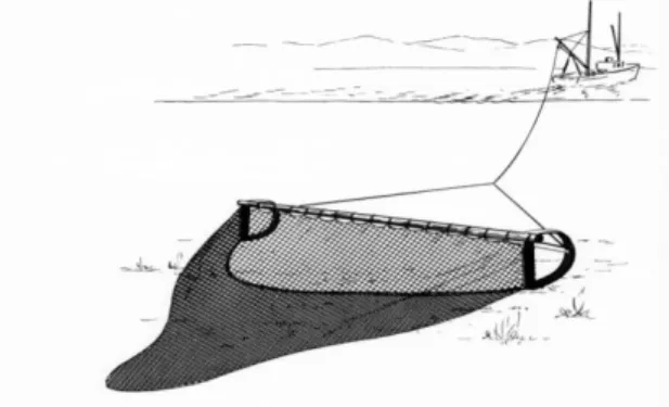 Gambar 3. Pukat Tarik Ikan (Sumber : KAPI KKP, 2014) 