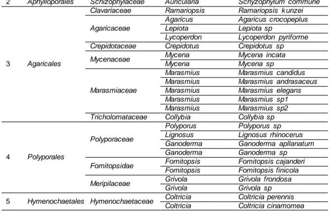 Tabel  1.      Jamur  Basidiomycota  yang  ditemukan  di  arboretum  Fakultas  Kehutanan Universitas Lancang Kuning 