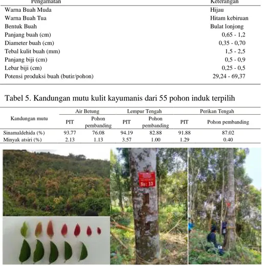 Tabel 4. Karakteristik morfologi buah dan biji 55 pohon induk terpilih (PIT) 