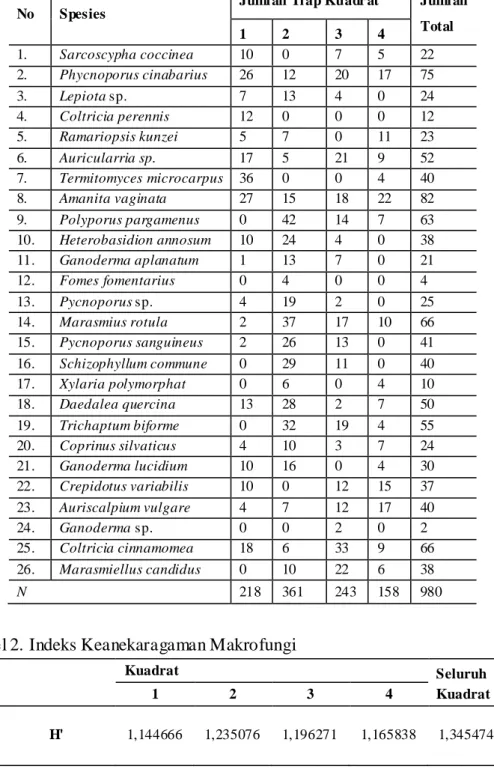 Tabel 1. Makrofungi di Pos Way Kanan Balai Taman Nasio nal Way Kambas 