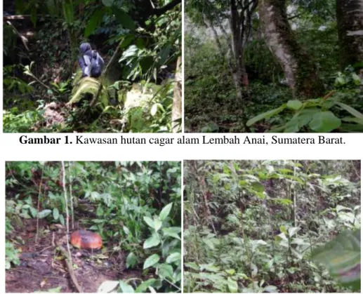 Tabel 1. Data kondisi lingkungan di wilayah  kawasan cagar alam Lembah Anai dan kawasan cagar  alam Batang Palupuh, Sumatera Barat.