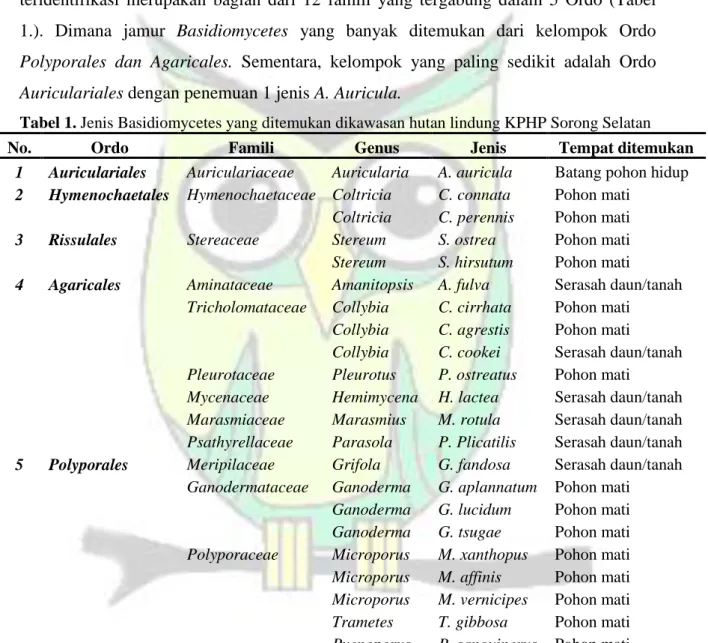 Tabel 1. Jenis Basidiomycetes yang ditemukan dikawasan hutan lindung KPHP Sorong Selatan 