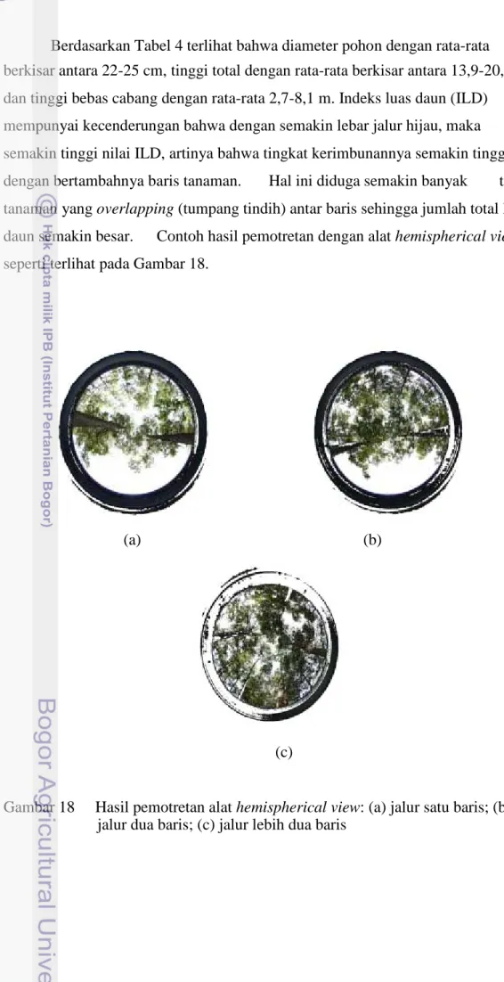 Gambar 18  Hasil pemotretan alat hemispherical view: (a) jalur satu baris; (b)  jalur dua baris; (c) jalur lebih dua baris