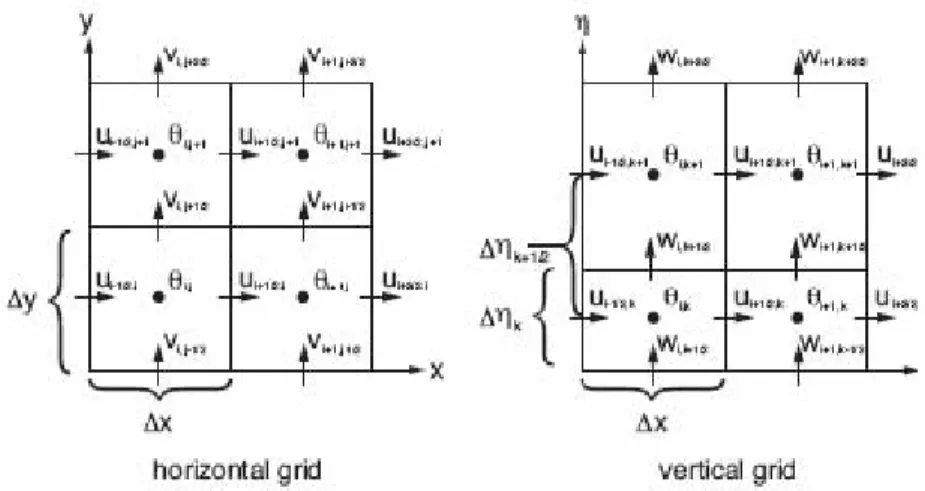 Gambar III.4 Grid horizontal dan vertikal pada ARW.  