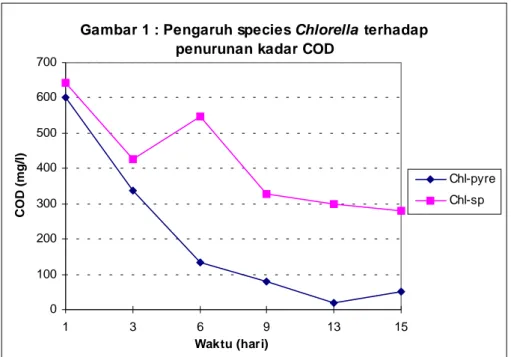 Gambar 1 : Pengaruh species Chlorella  terhadap  penurunan kadar COD