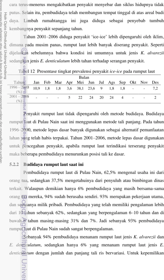 Tabel 12  Presentase tingkat prevalensi penyakit ice-ice pada rumput laut  Bulan 