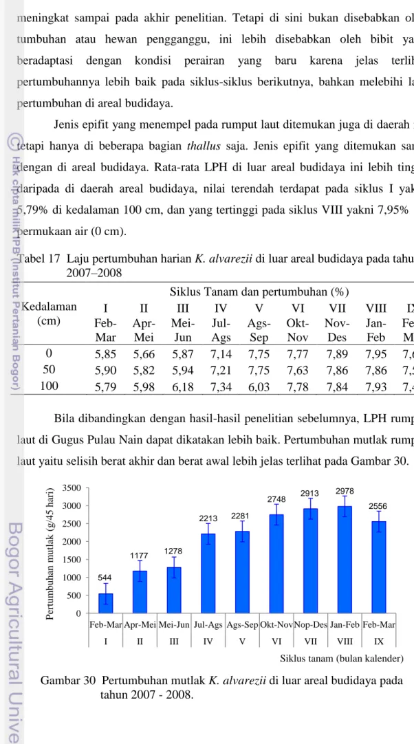 Tabel 17  Laju pertumbuhan harian K. alvarezii di luar areal budidaya pada tahun                  2007–2008 