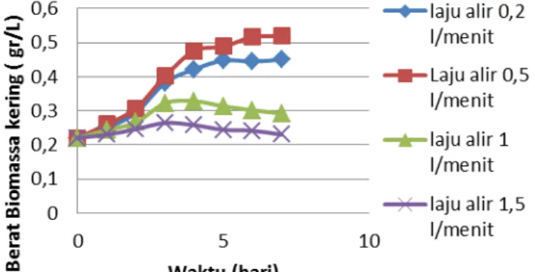 Gambar 2. hubungan waktu kultivasi vs berat biomassa 