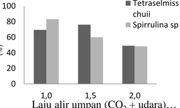 Gambar 4.3. Perbandingan persentase penyerapan dari mikroalga Tetraselmis chuii dan Spirrulina sp