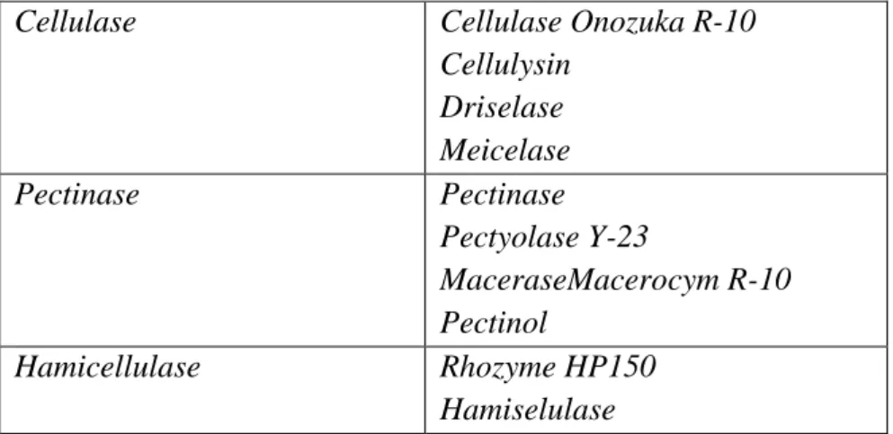 Tabel 6.1.  Enzim yang umum digunakan untuk isolasi protoplas  