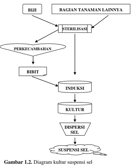 Gambar 1.2. Diagram kultur suspensi sel  