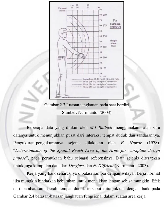 Gambar 2.3 Luasan jangkauan pada saat berdiri  Sumber: Nurmianto. (2003) 