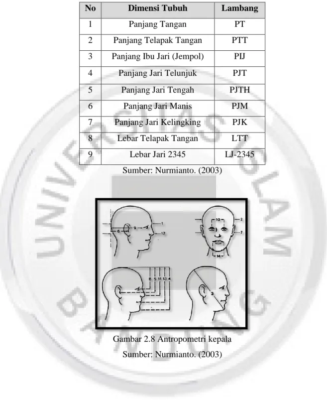 Tabel 2.3 Antropometri tangan 