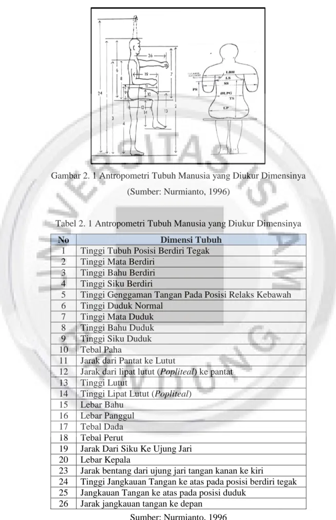 Gambar 2. 1 Antropometri Tubuh Manusia yang Diukur Dimensinya  (Sumber: Nurmianto, 1996) 