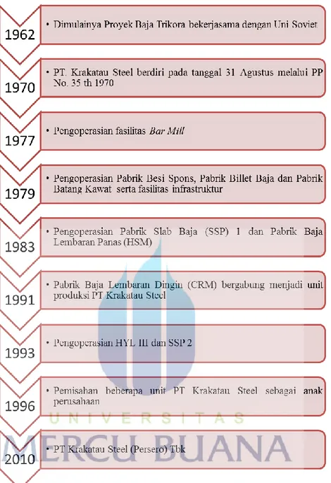 Gambar 4. 1 Bagan Sejarah PT. Krakatau Steel 