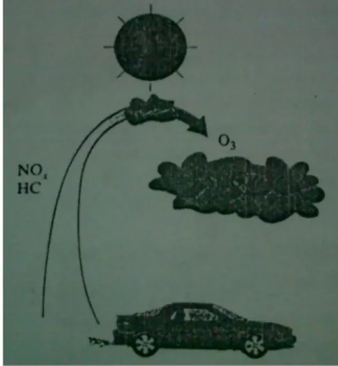 Gambar 2. Lapisan bawah ozon, yang merupakan  komponen utama kabut asap, terbentuk ketikaHC  dan NO x  bereaksi pada saat terik matahari