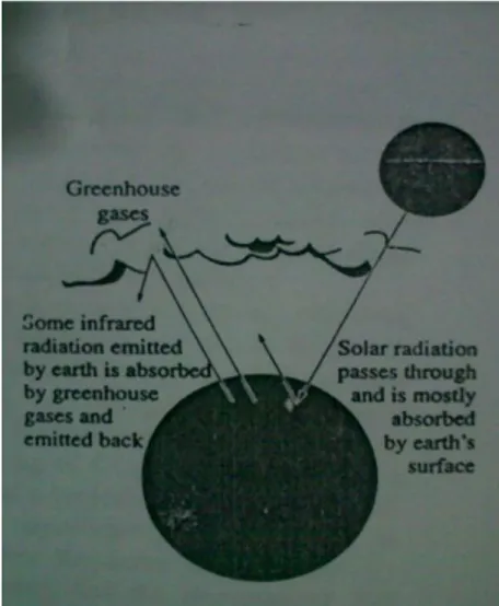 Gambar 4. Efek rumah kaca terhadap bumi  (Sumber :  Yunus A, Michael A Boles 4) ) 