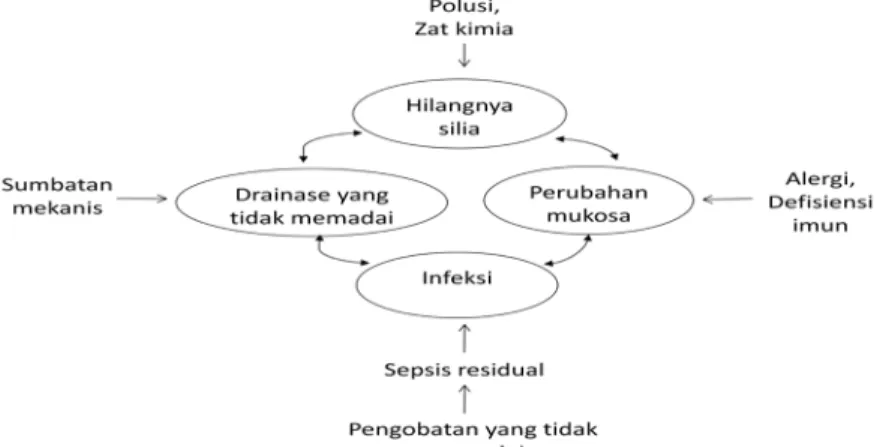 Gambar 2.1. Siklus yang berulang, mengakibatkan terjadinya proses berkelanjutan yang  mengarah pada rinosinusitis kronis