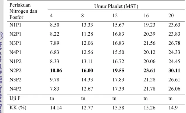 Tabel 13. Pengaruh Interaksi Nitrogen dan Fosfor terhadap Rata-rata Jumlah  Daun  Cymbidium  Varietas Lovely Angel Secara In Vitro di Media  Kombinasi Perlakuan Nitrogen dan Fosfor sampai dengan 20 MST  Perlakuan  Nitrogen dan  Fosfor  Umur Planlet (MST)  