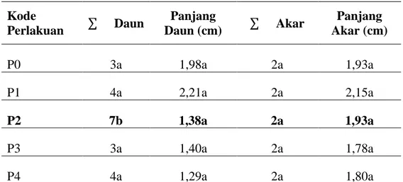 Tabel  3.  Hasil  Uji  DMRT  Pengaruh  Penambahan  Konsentrasi  Sukrosa  pada  Media  Perlakuan  Terhadap  Jumlah  dan  Ukuran  Daun  serta  Akar  Dendrobium antennatum 