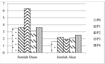 Gambar  7.  Diagram  batang  pengaruh  penambahan  berbagai  konsentrasi  sukrosa  terhadap  jumlah  daun  dan  akar  dari  D