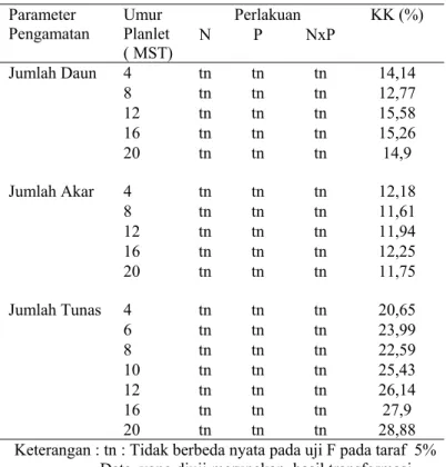 Tabel 1. Rekapitulasi Hasil Uji F Pengaruh Nitrogen (N), Fosfor  (P) dan Kombinasi Nitrogen dan Fosfor (NxP) terhadap  Jumlah Daun, Jumlah Akar dan Jumlah Tunas Anggrek  Cymbidium Varietas Lovely Angel secara in vitro  Parameter  Pengamatan  Umur  Planlet 