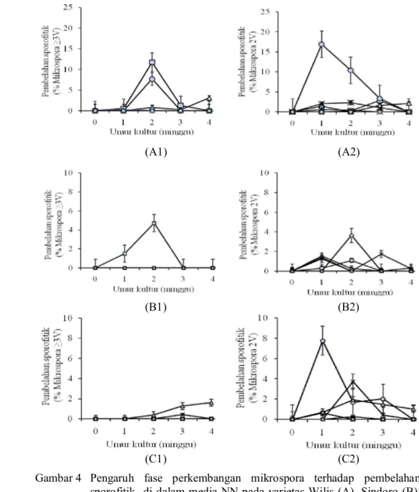 Gambar 4   Pengaruh  fase  perkembangan  mikrospora  terhadap  pembelahan  sporofitik   di dalam media  NN pada  varietas Wilis (A),  Sindoro  (B),  Slamet  (C)