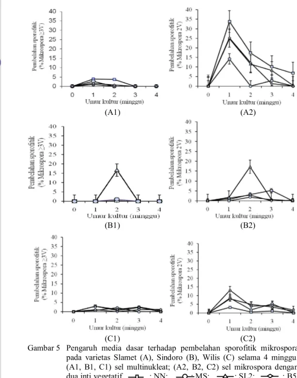 Gambar 5   Pengaruh  media  dasar  terhadap  pembelahan  sporofitik  mikrospora  pada  varietas  Slamet  (A),  Sindoro  (B),  Wilis  (C)  selama  4  minggu