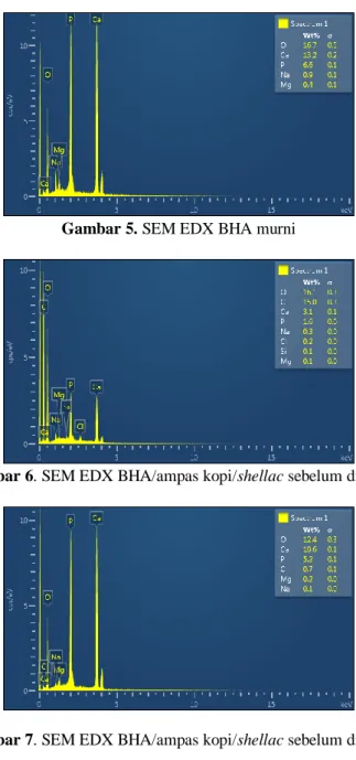 Gambar 5. SEM EDX BHA murni 