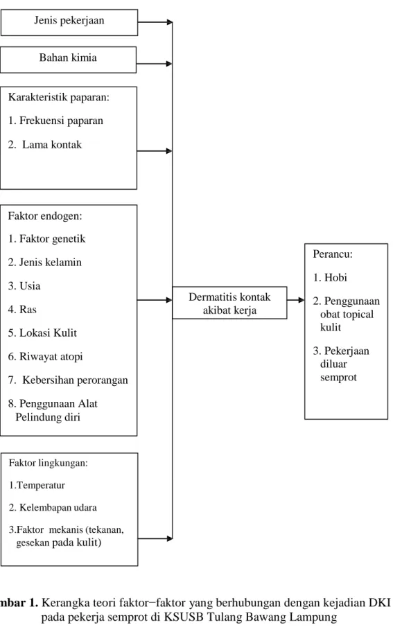 Gambar 1. Kerangka teori faktor−faktor yang berhubungan dengan kejadian DKI  pada pekerja semprot di KSUSB Tulang Bawang Lampung 