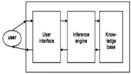 Gambar 2. 1 Konsep Dasar Sistem Pakar   (Suparman dan Marlan, 2007) 