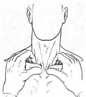 Gambar 9  Gambar 10