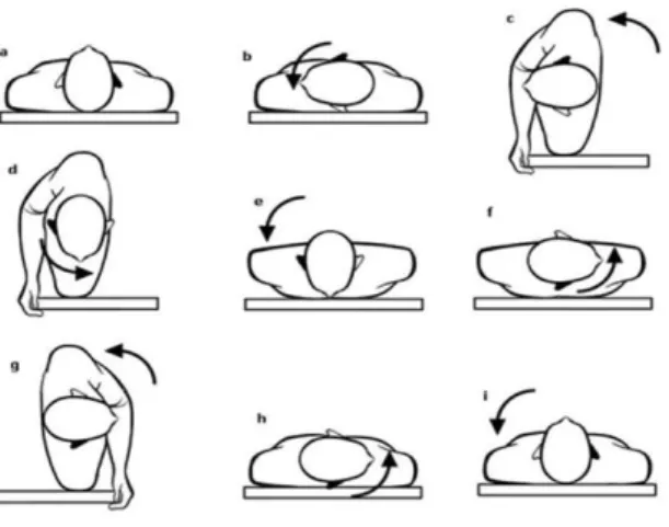 Gambar 2.8 Brandt-Daroff Exercise 5