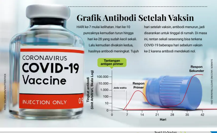Grafik Antibodi Setelah Vaksin