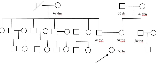 Gambar 1.  Pedigree    keluarga pasien 