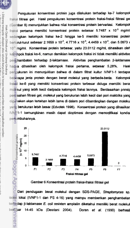 Gambar 6 Konsentrasi protein fraksi-fraksi filtrasi gel 