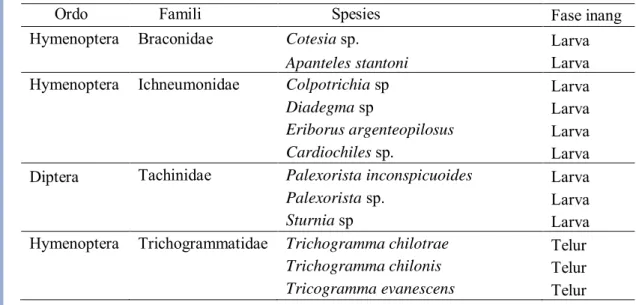 Tabel 3  Keanekaragaman parasitoid Crocidolomia pavonana 