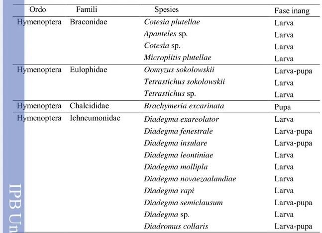 Tabel 1  Keanekaragaman parasitoid Plutella xylostella 