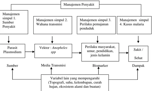 Gambar 2.1. Teori Simpul Malaria (Achmadi, 2008) 