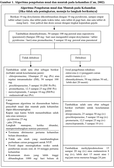 Gambar 1. Algoritma pengobatan mual dan muntah pada kehamilan (Can, 2002)  