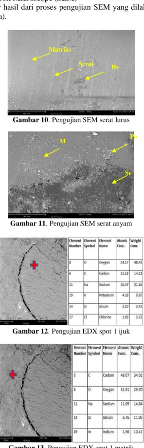 Gambar 10. Pengujian SEM serat lurus 