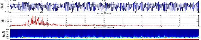 Gambar 11. Contoh rekaman seismik gempa Tremor Spasmodik