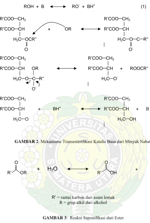 GAMBAR 2: Mekanisme Transesterifikasi Katalis Basa dari Minyak Nabati 