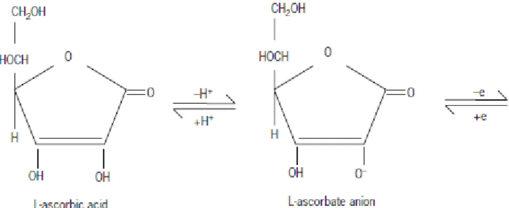 Gambar 6. Asam askorbat dan produk-produk oksidasinya. 29