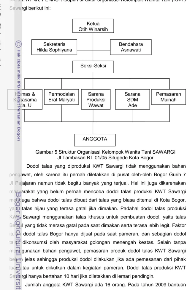 Gambar 5 Struktur Organisasi Kelompok Wanita Tani SAWARGI  Jl Tambakan RT 01/05 Situgede Kota Bogor 