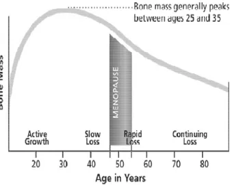 Gambar  diatas  menunjukan  bahwa  terjadi  percepatan  pertumbuhan  tulang  ,  yang  mencapai  massa  puncak  tulang  pada  usia  berkisar  20  –  30  tahun,  kemudian  terjadi  perlambatan formasi tulang dan dimulai resorpsi tulang yang lebih dominan