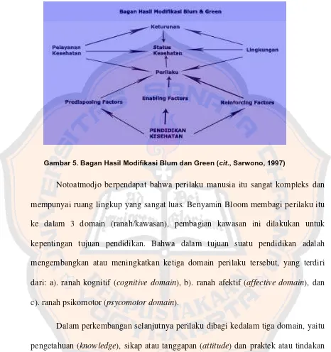 Gambar 5. Bagan Hasil Modifikasi Blum dan Green (cit., Sarwono, 1997) 