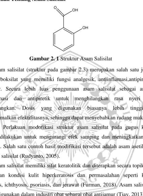 Gambar 2. 1 Struktur Asam Salisilat 
