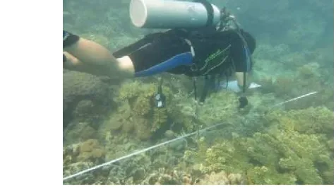 Gambar 4.   Metode pengamatan terumbu karang dengan transek garis 